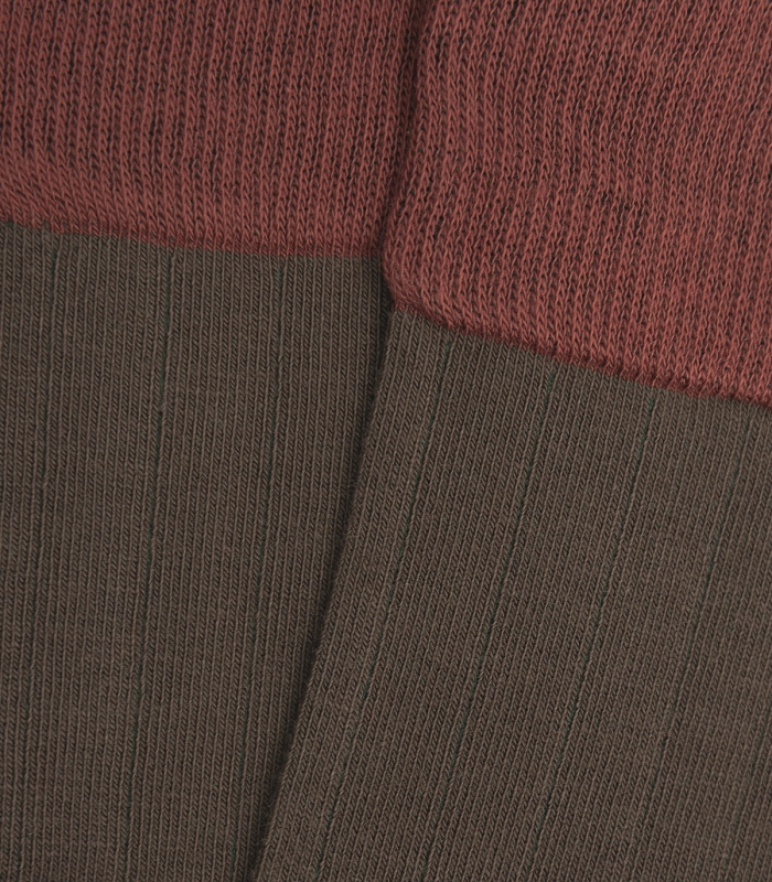 Brown and Caldera Ribbed Knee High Socks