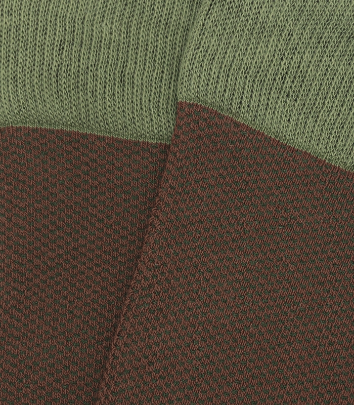 HOOK Brown and Green Bird's Eye Socks