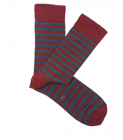 Blue and Burgundy Striped Socks